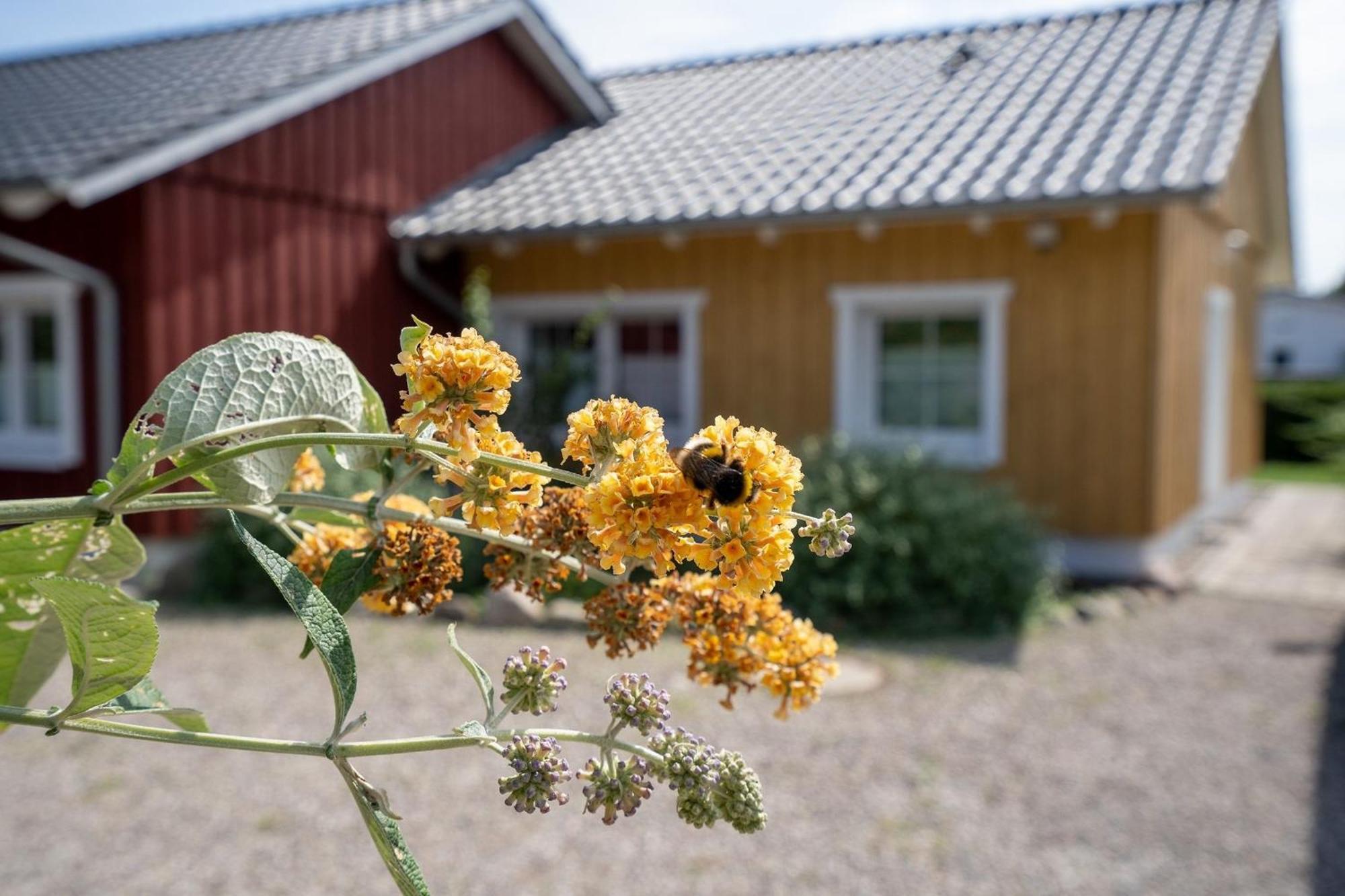 Alte Dahme Haus 2 Villa Luaran gambar